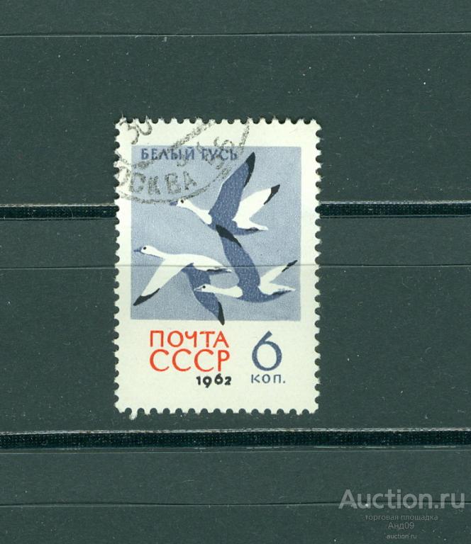 1962 г. Белые гуси (724т)