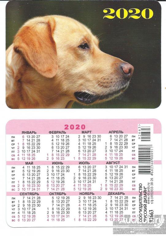 Календарь карманный. Россия.2020. Фауна. Животные. Собака №1
