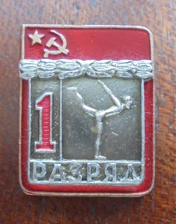 1 разряд Гимнастика спортивная, накладка. ВХО 