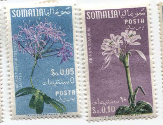 1955.Сомали.Цветы.2м из 5.*