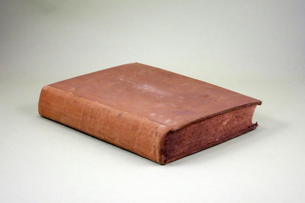 Руководство Клиническая диагностика Методика исследования для врачей 1925 Медицина Здравоохранение