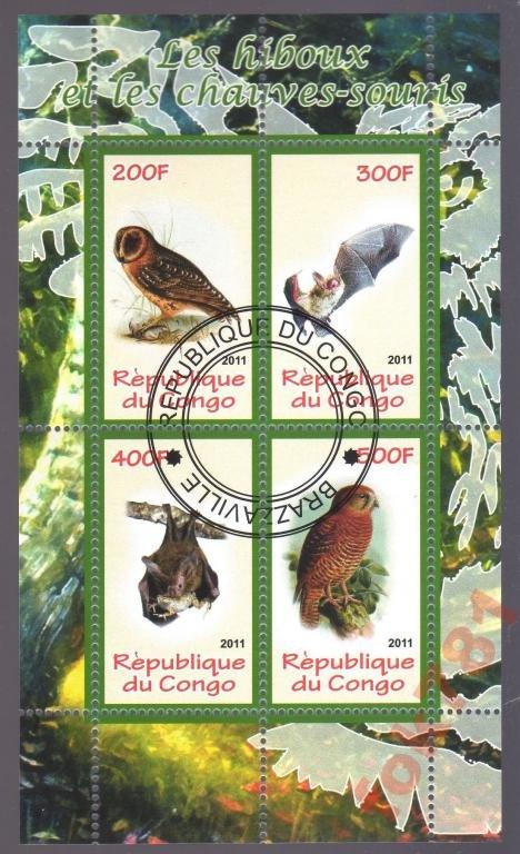 КОНГО ПТИЦЫ 2011 ГОД № 22