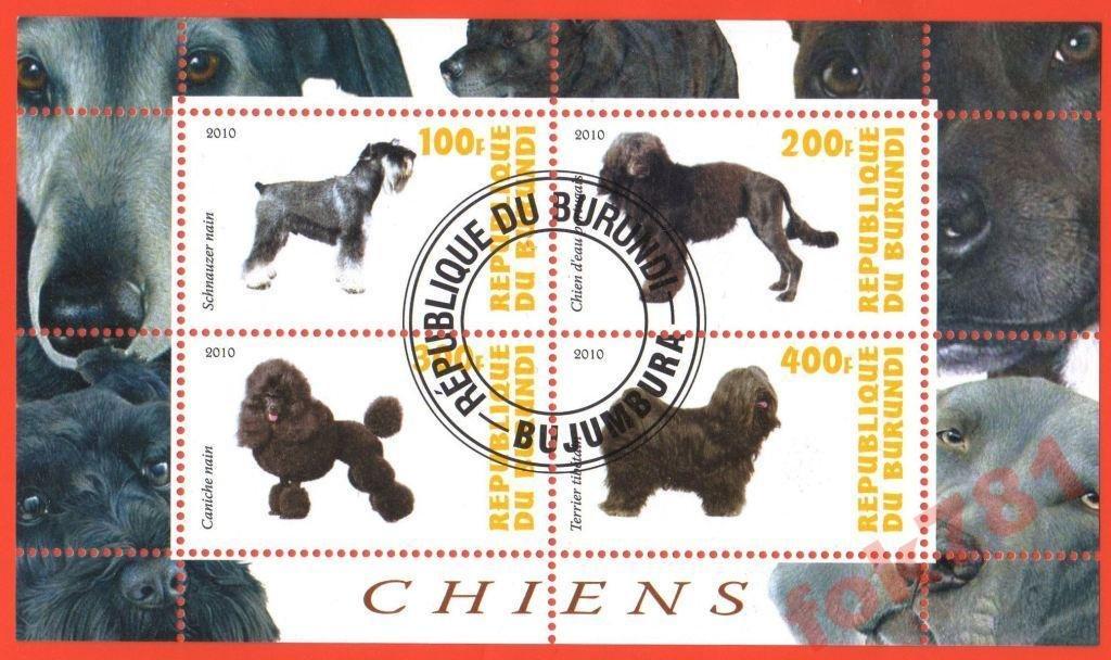 БУРУНДИ СОБАКИ 2010 ГОД №35