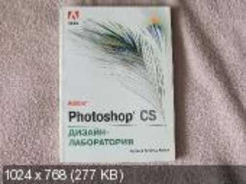 #236537 Кохен Луанна Сеймур Adobe Photoshop CS Дизайн-лаборатория