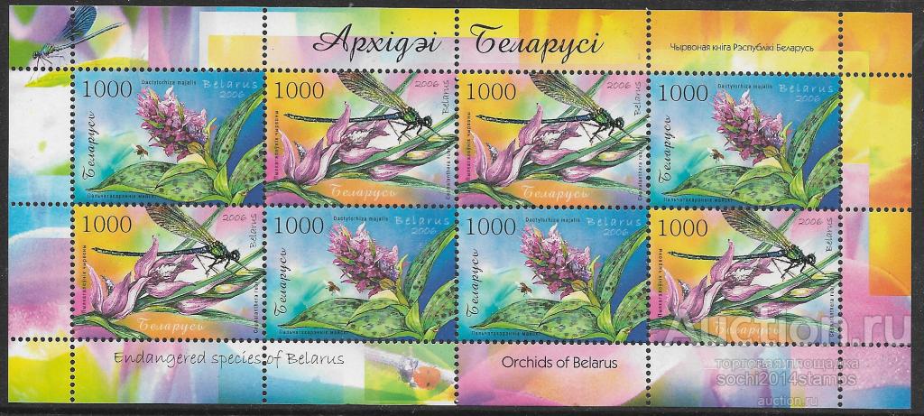 Беларусь. Флора. Орхидеи. Лист