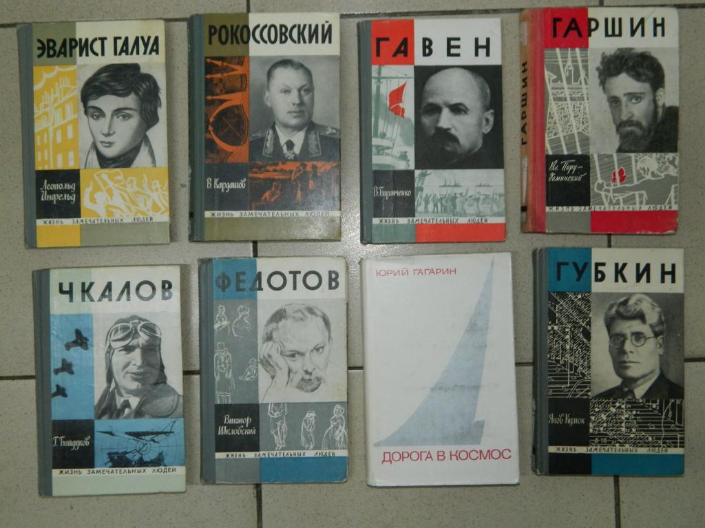 Жзл Книги Купить Пушкин