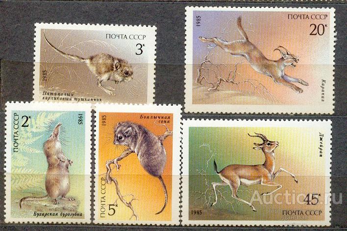 СССР 1985 СК 5589-93 ** ФАУНА КРАСНАЯ КНИГА