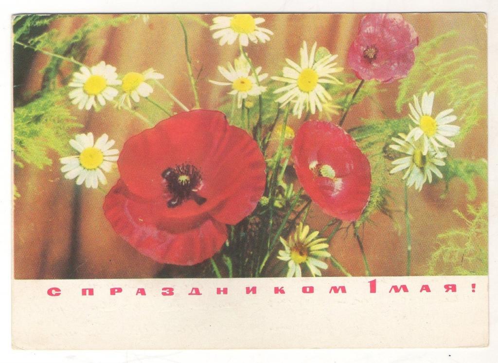 С праздником 1 Мая! маки И. Дергилев 1970,  подписана