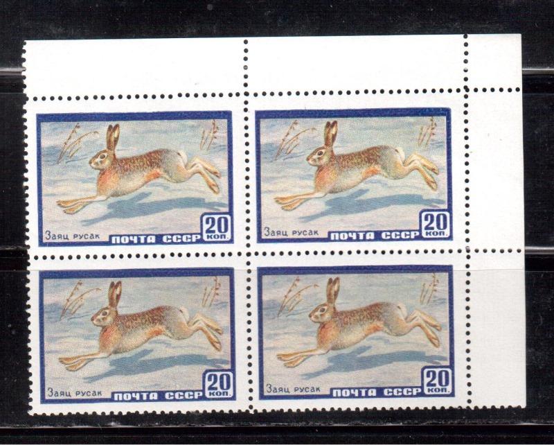 1960 г. МАРКИ СССР. Фауна. Заяц. Квартблок.Угол. MNH