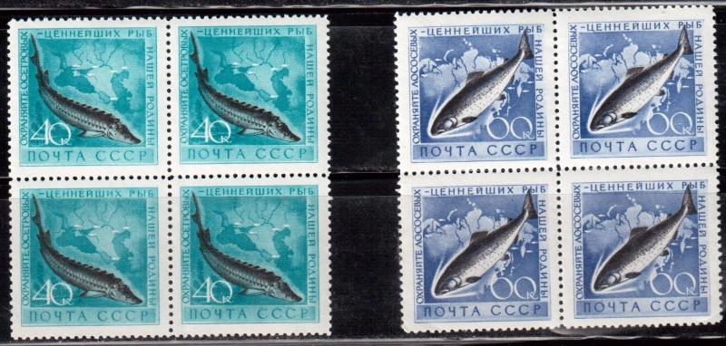 1959 г. МАРКИ СССР. Рыбы. Квартблоки. MNH