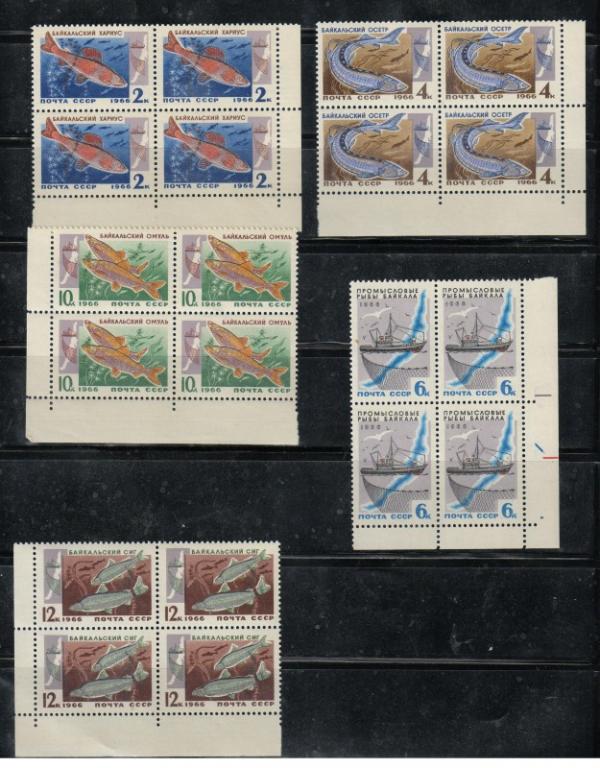 1966 г. МАРКИ СССР. Рыбы Байкала.  Квартблоки. Углы! MNH