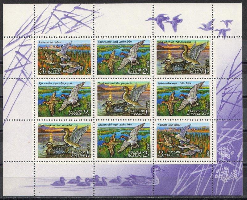 1992 г. МАРКИ РФ. Утки. Малый лист MNH