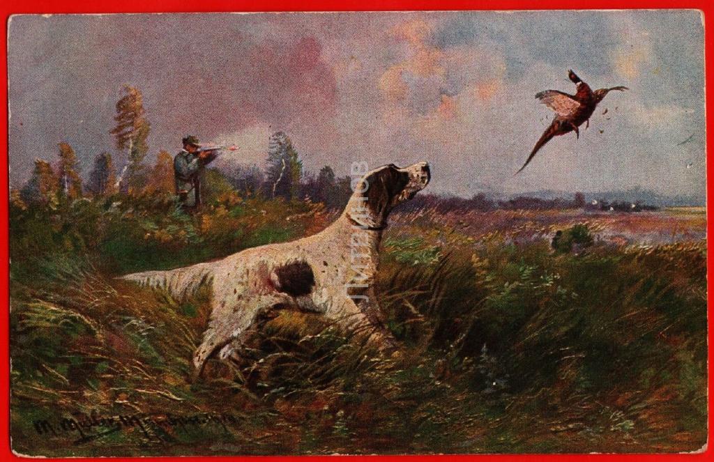 Охотничья 8. Jagdhund одежда охотничья.