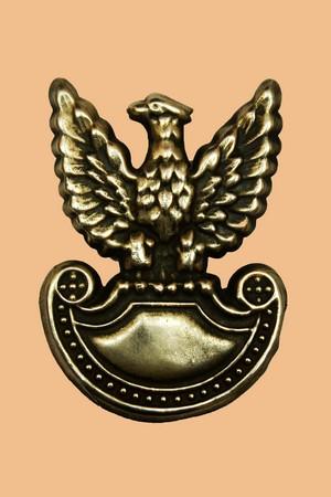 Кокарда. Польша. Армия. Есть еще много кокард 