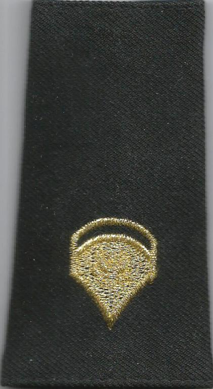 Погон. США. Специалист 