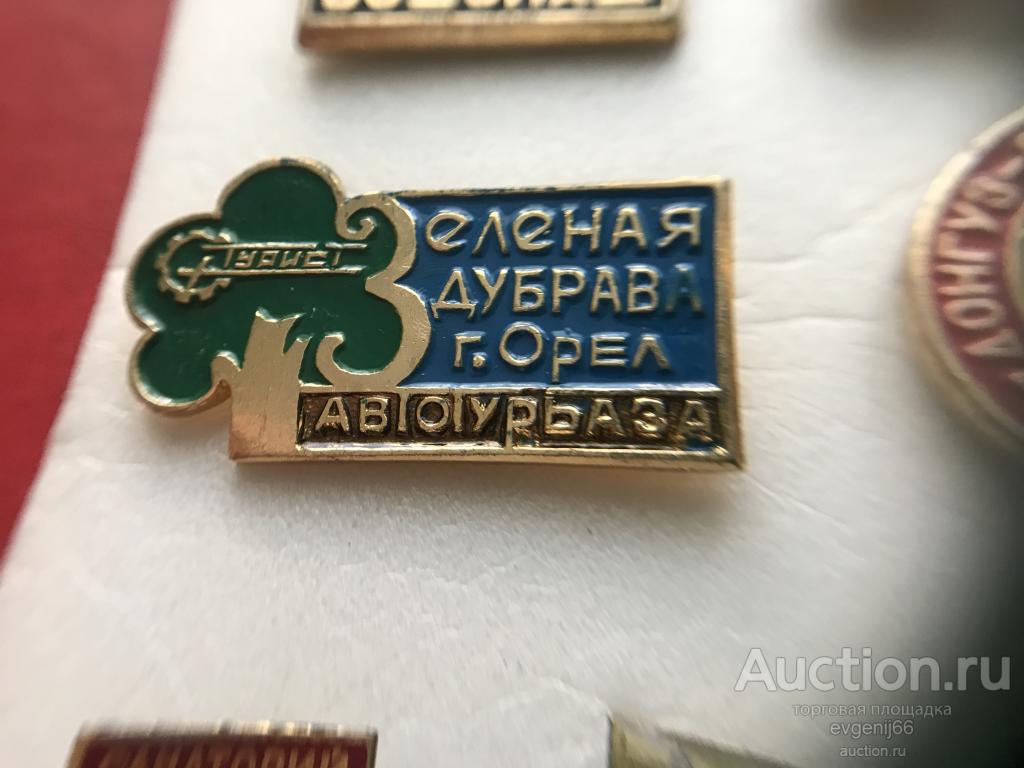Знак. Значок, Автотурбаза ЗЕЛЁНАЯ ДУБРАВА дерево туризм РЕДКИЙ  RRR