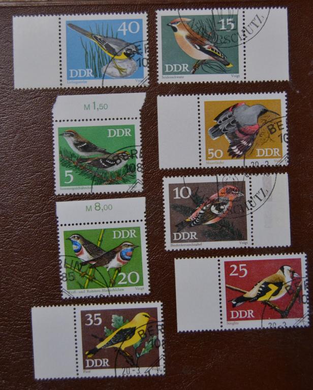 ГДР 1973 г. Фауна Певчие Птицы Европы СТО