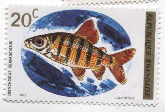 1973.Руанда.Рыба.20с.1м.**