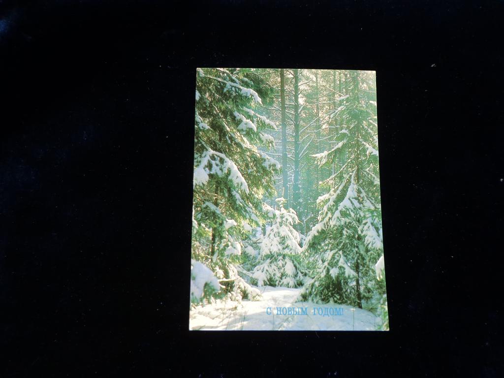 Открытка С Новым Годом     чистая
