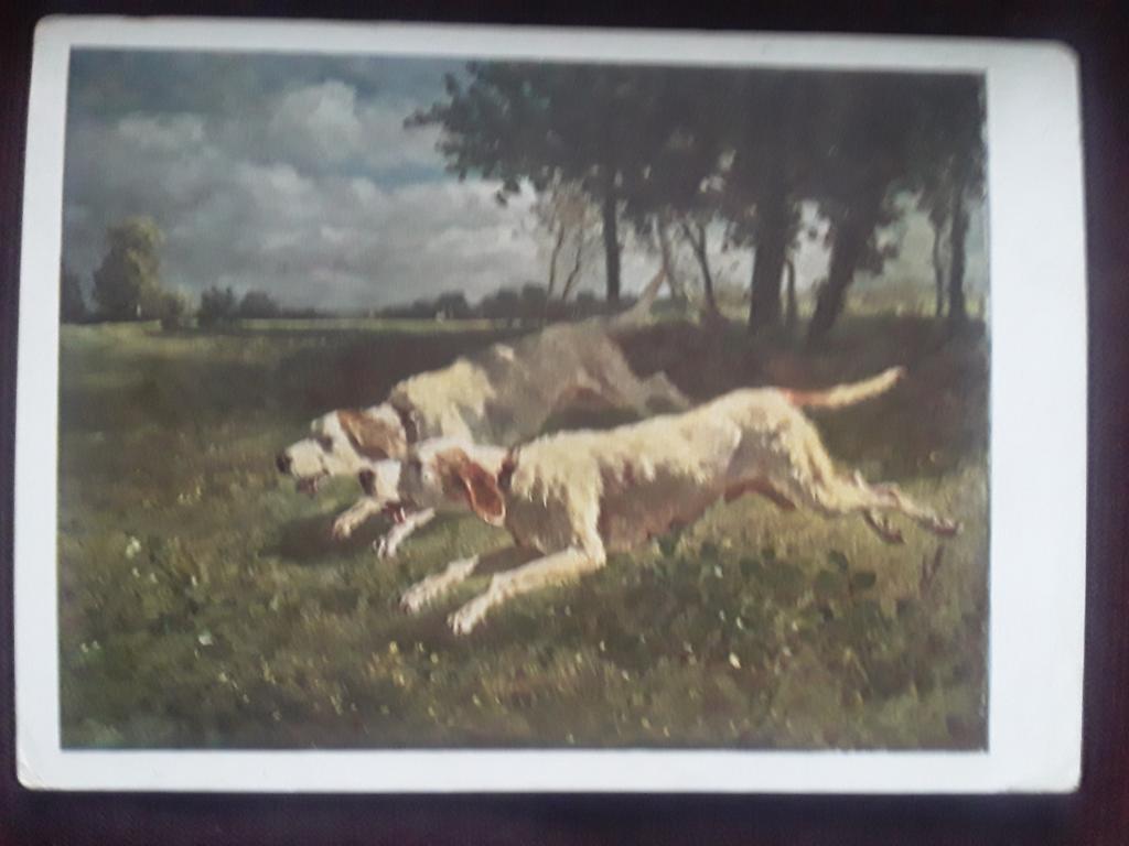 Почтовая карточка. Музей изящных искусств. Собаки на охоте 1929г.