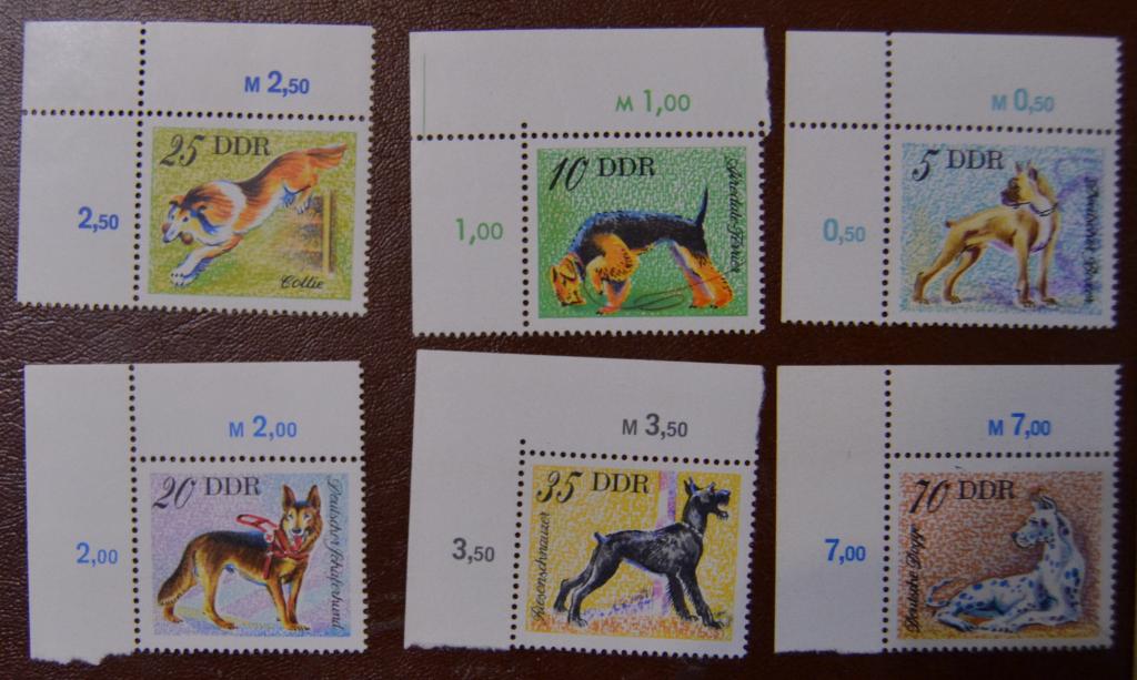 ГДР 1976 год  Фауна Служебные собаки М: 2155-2160 MNH