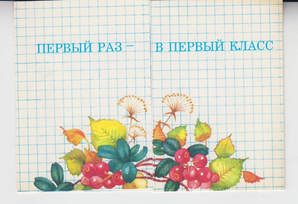 Художник В. Родионов. ПЕРВЫЙ РАЗ - В ПЕРВЫЙ КЛАСС! 1 СЕНТЯБРЯ! Чистая, 1989г.