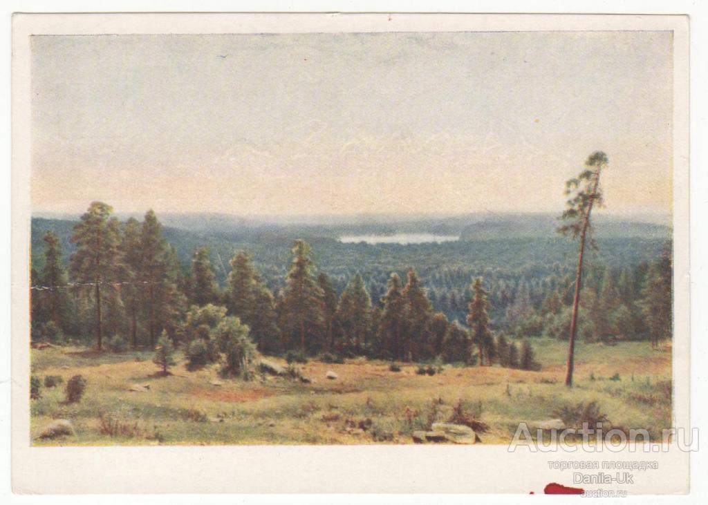 Открытки. Государственная Третьяковская галерея. И.И.Шишкин. Лесные дали. 1961г. (6.723)