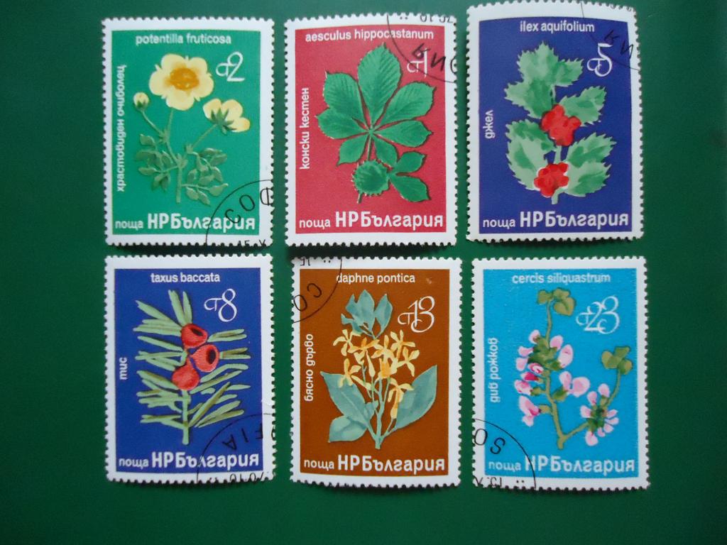 1976 г.  Болгария  гаш с клеем.