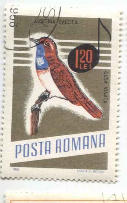 1966.Румыния.Певчая Птица.1м.гаш