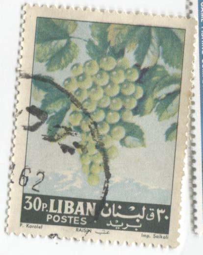 1962.Ливан.иноград.1м.гаш