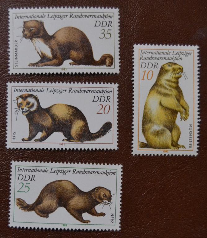 ГДР 1982 год  Фауна Пушные Звери Норка Ласка Барсук №2677-2680.  MNH