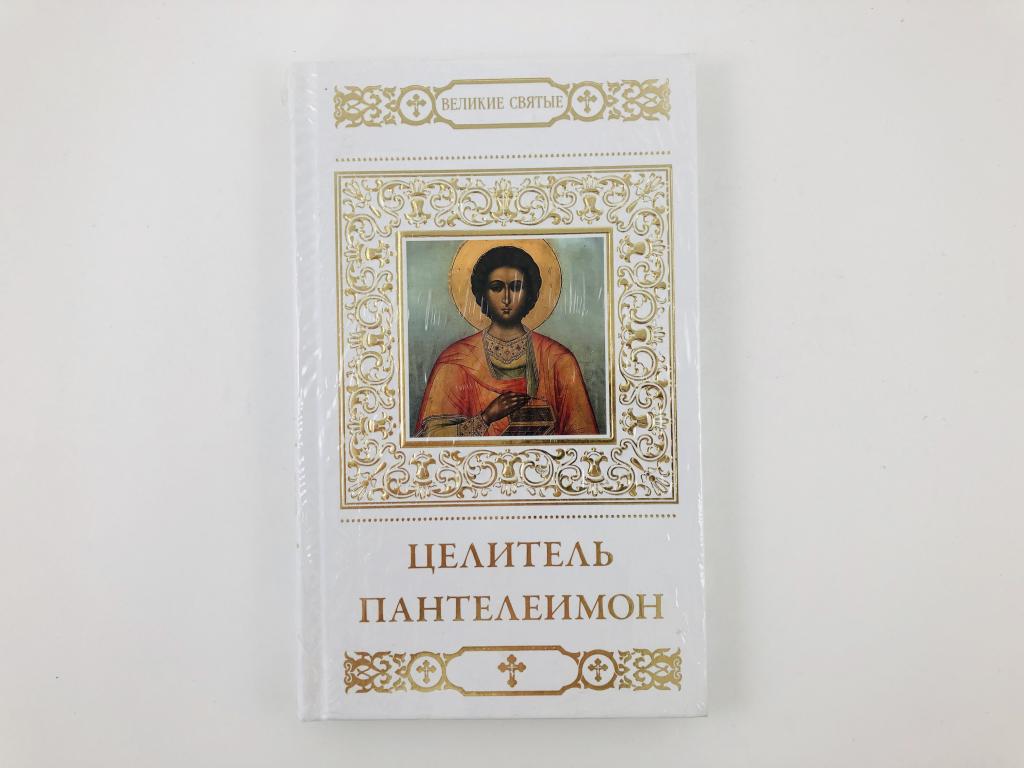 Целитель слушать 5 книгу. Целитель книга