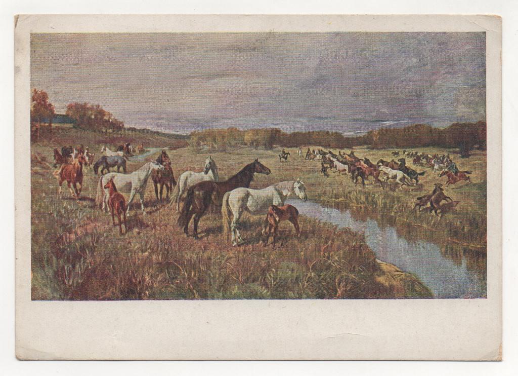 1932 г. Музей коневодства. Табун рысистых маток.
