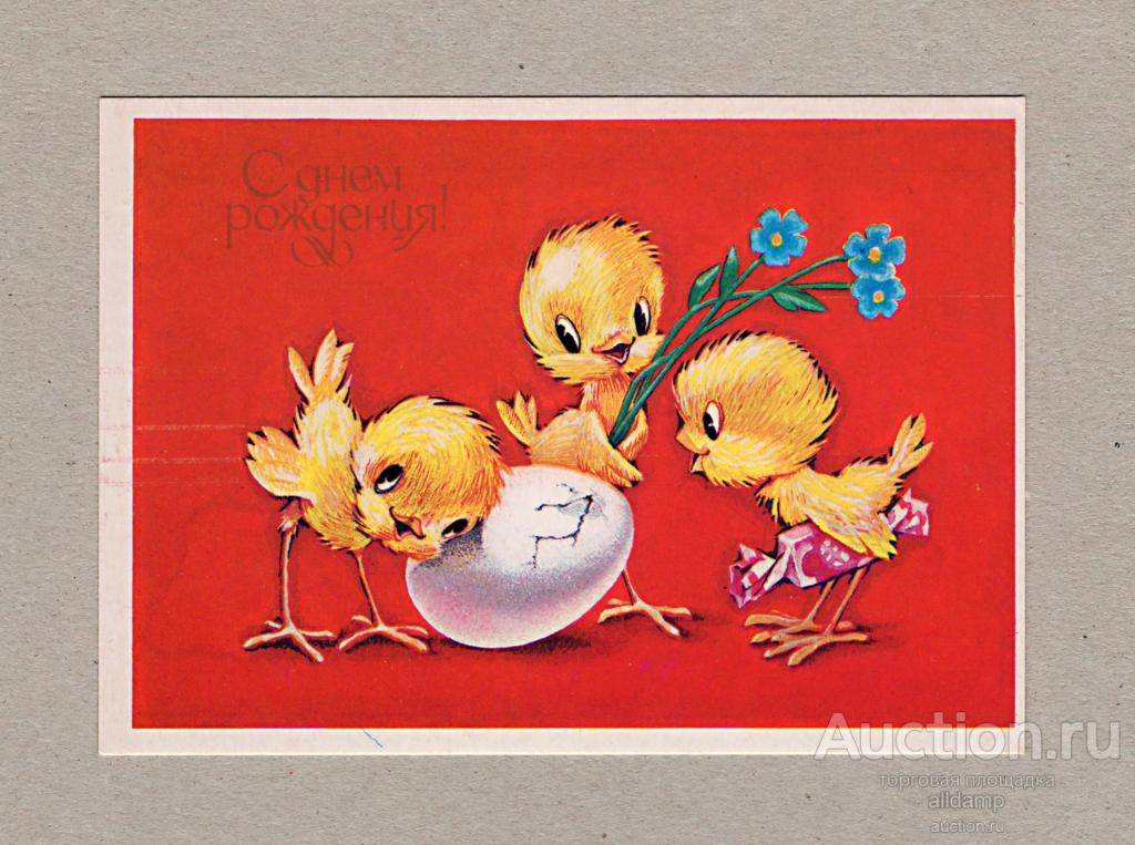 Открытка СССР. С днем рождения! Художник В. Четвериков, 1984 г, чистая, цыплята, яйцо