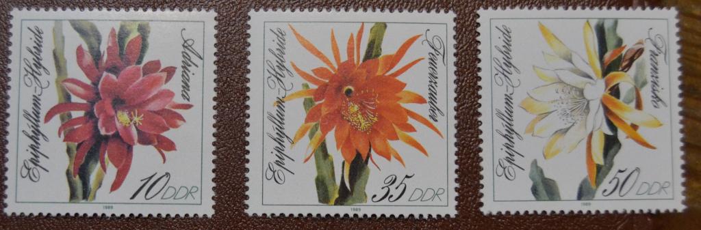 ГДР 1989 год Флора Цветы кактуса  Mi3276-78  MNH