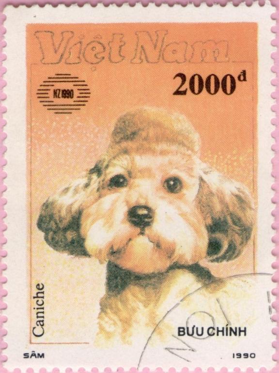 Щенок 3 выпуск. Марки Вьетнам собаки. Фото собака 1990. Собаки 2000 годов. Марка Vietnam Buu chinh.