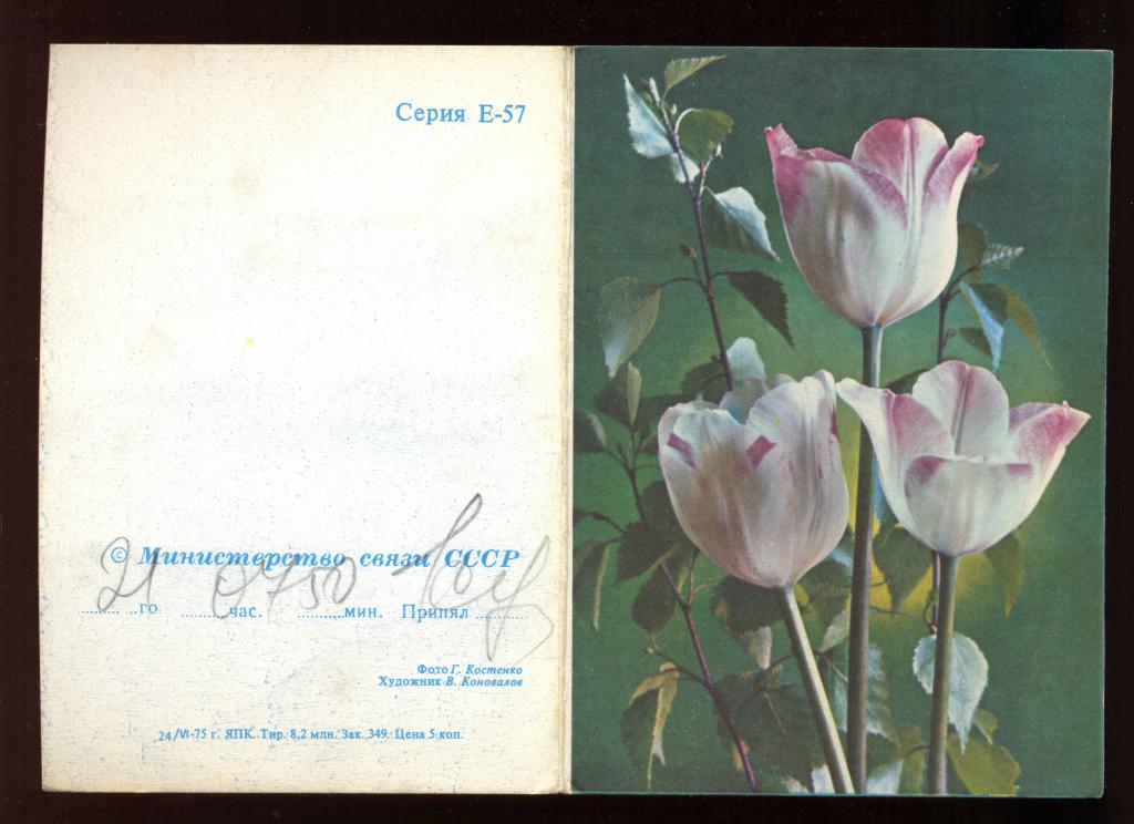 Открытка - Телеграмма СССР 1975 год, "Цветы - Тюльпаны" фото Г. Костенко, худ. В. Коновало
