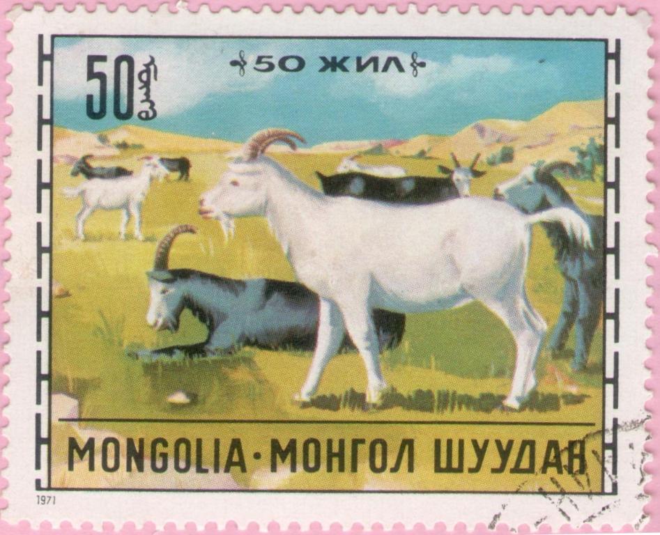 Монголия 1971 Фауна Домашние животные Козы Животноводство — покупайте .
