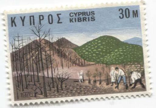 1976.Кипр.ПОсадка саженцев.1м.*