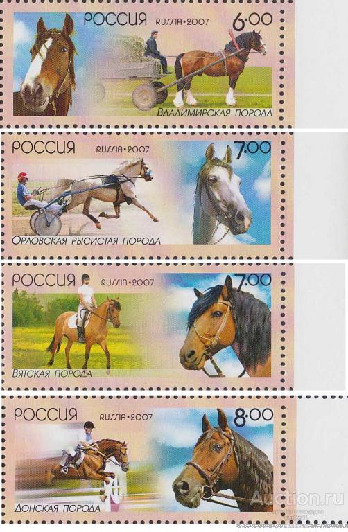 Россия 2007 1209-12 Породы лошадей поле **