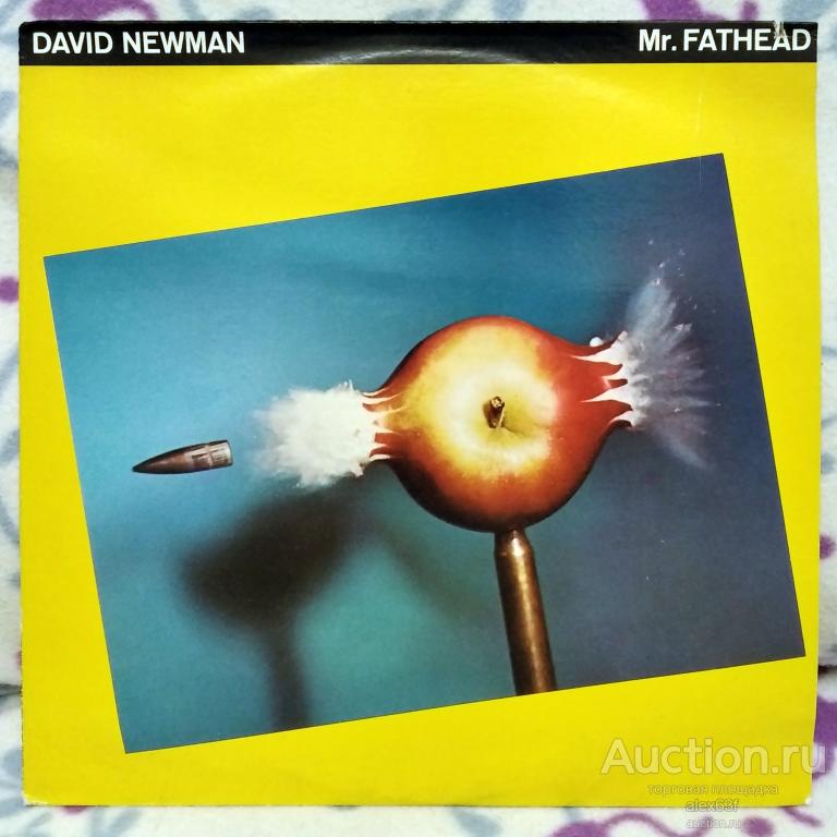 David Newman (ex. Family Of Mann) 1976 Mr. Fathead (USA)