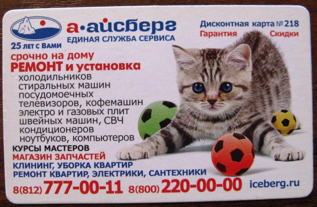 Мама Кот Купить Билет