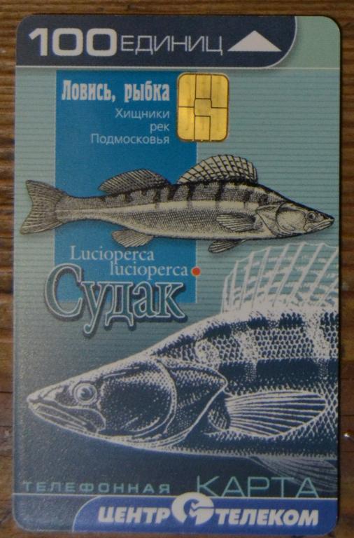 Телефонная карта Центртелеком Единая - Люберцы, Раменское, Жуковский. Рыбы Судак 100 ед.  - 35
