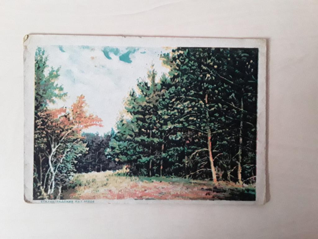 Открытка. Вид Нижнего Поволжья. Сталинградское издательство. 1930-е.