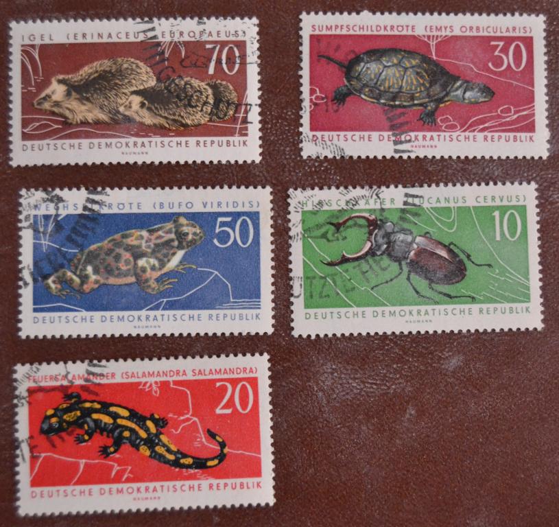 ГДР 1963 г. Фауна Животные и Насекомые  Европейских Лесов Mi 978/82 СТО