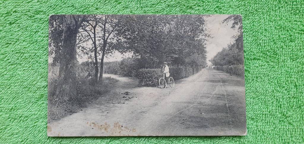 Открытка почтовая " Харбин. Питомник К.В.Ж.Д.", до 1917 года, Российская империя