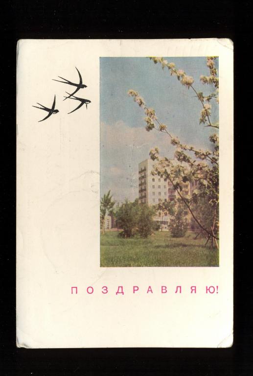 Открытка - 1967 год "Поздравляю!" худ. И. Я. Дергилев, фото П. И. Смоляков  (011)