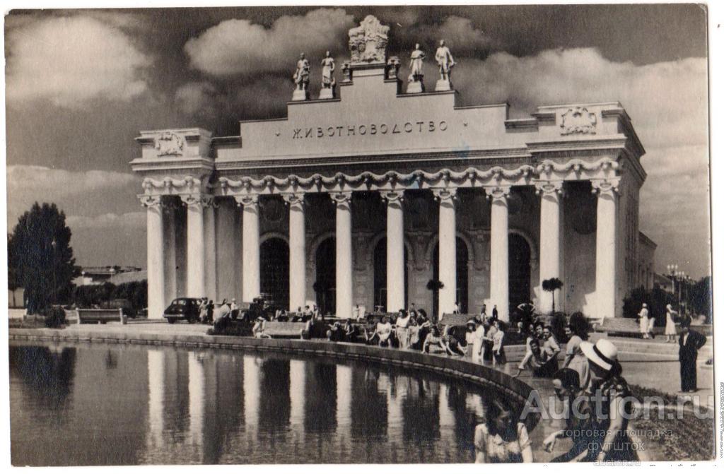 1// Открытка ВСХВ Павильон животноводства 1954 г. Москва СССР