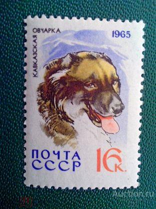 СССР 1965  Фауна . Собаки . Кавказская овчарка ( марка из серии )