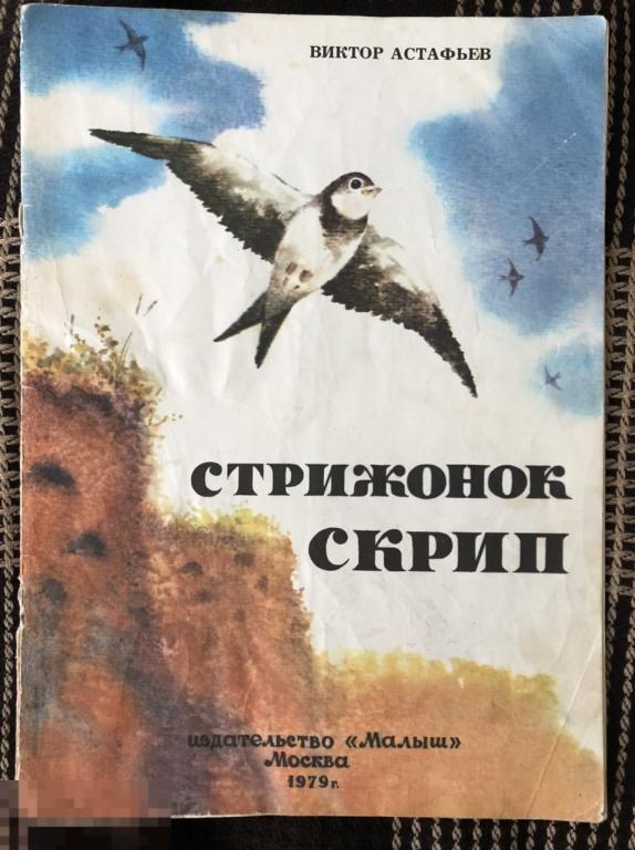 Стрижонок скрип рисунок детский